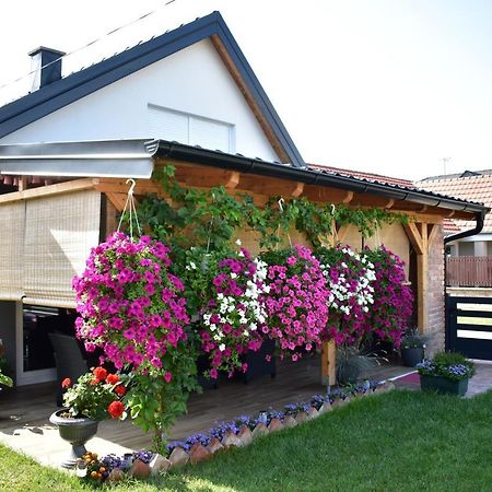 Apartman Tea Valpó Kültér fotó